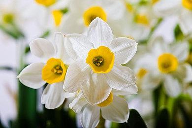 《哥谭骑士》战役仅限2人合作 将推出4人专用模式 